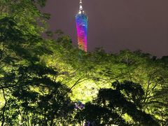 -珠江夜游广州塔·中大码头