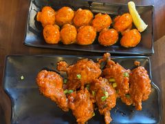 南国鸡翅-南国印度餐厅Dakshin