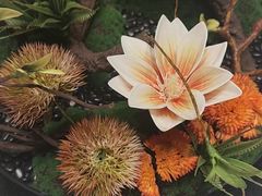 -古韵轩·江浙融合菜(梁溪店)