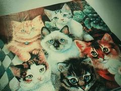 餐巾纸-喵的天空名猫咖啡馆·撸猫·猫舍·用品