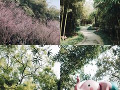 -望江楼公园