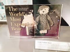 -济州岛泰迪熊博物馆