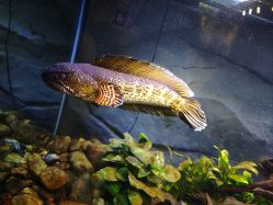 -Zoolung Zoolung动物主题公园(海信广场店)