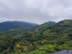 -杨家堂村