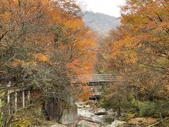 -光雾山旅游景区