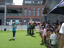 点击看大图 -恐龙探索乐园(磁器口店)