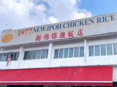 -1977 New Ipoh Chicken Rice 新怡保鸡饭店(陀螺街)