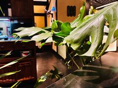 -桂满陇·锦绣江南(益田广场店)