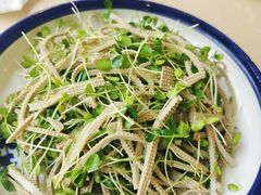 椿苗豆腐丝-高建民酒楼(红旗大街店)