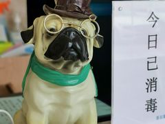 -菲尔斯特宠物医院