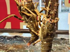 -南海渔村(珠江新城店)