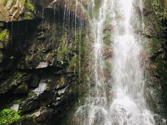 -藏龙百瀑风景区