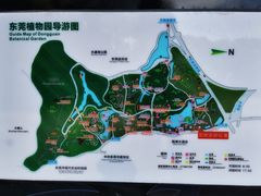 -东莞植物园