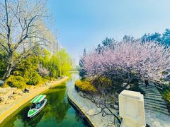 -团结湖公园