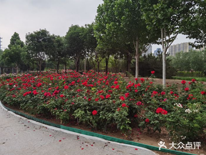坝河休闲公园图片