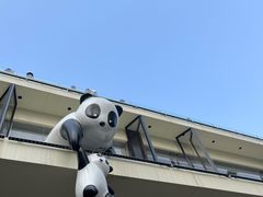 -重庆十八梯传统风貌区