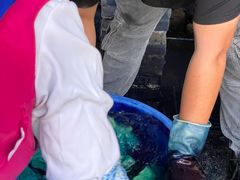 -璞真扎染博物馆