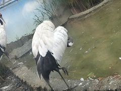 -成都动物园