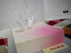-BLACKSWAN黑天鹅(环球店)