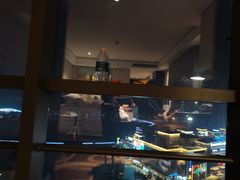 -青岛西海岸隆和福朋喜来登酒店