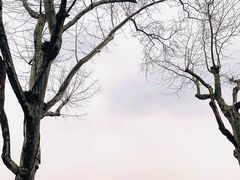 -北山街历史文化街区