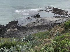 -漳州滨海火山岛自然生态风景区