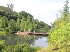 -云溪植物园