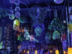 -Global酒吧(五道口店)