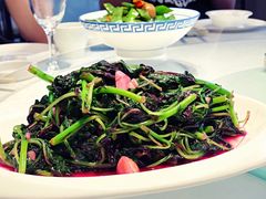 -御湾·浅水湾·贺胜土鸡汤(潜山店)