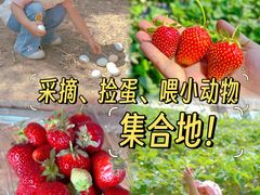 -甜心庄园·甜心草莓采摘园(西青中北店)