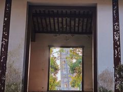 -上海佘山国家森林公园天马山园