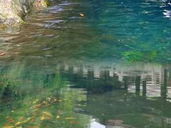 -宁波五龙潭景区