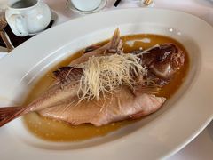 清蒸东星斑-宝丽轩中餐厅BAOLIXUAN