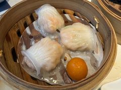 -点都德·毕德寮