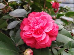 -吴记后安粉汤(中央路店)