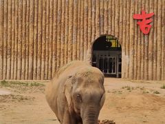 -济南野生动物世界