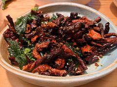 -滇铺子·云南特色菜·第九届野生菌美食节(东风东路c86店)