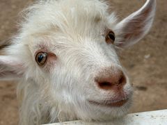 -云栖山谷露营地·团建年会·生日派对