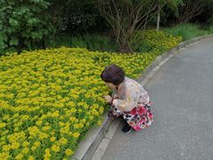 -中家鑫园温泉酒店鑫悦汤泉