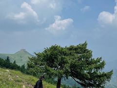 -灵山