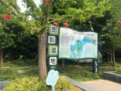 -长兴太湖图影湿地文化园