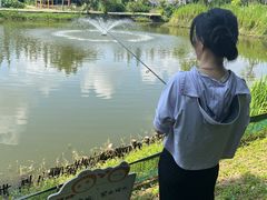 -前小桔亲子创意农场·草莓采摘·露营烧烤