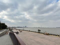-上海滨江森林公园