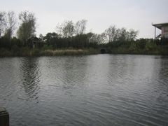 -溱湖国家湿地公园