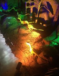 -恐龙探索乐园(磁器口店)