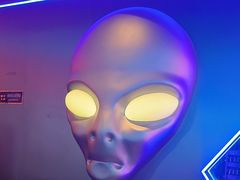 -胖子烧烤海鲜(亲贤北街店)