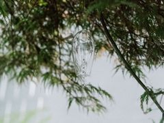 -二酉书店TOYOU BOOKS