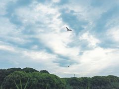 -沙家浜风景区