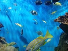 -多彩贵州城极地海洋世界