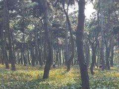 景点-长春市南湖公园